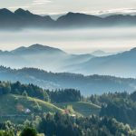 Eastern European Countries - Mountainous valley with evergreen forest against misty sky