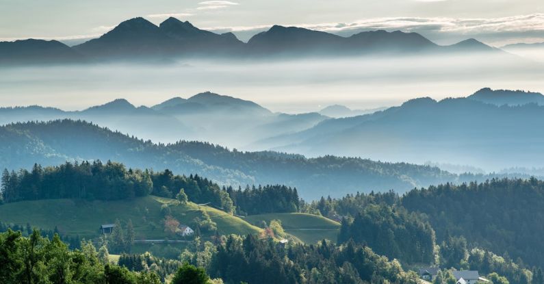 Eastern European Countries - Mountainous valley with evergreen forest against misty sky